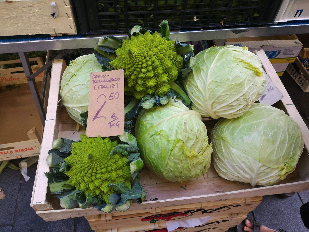 法國尼斯菜市場市集