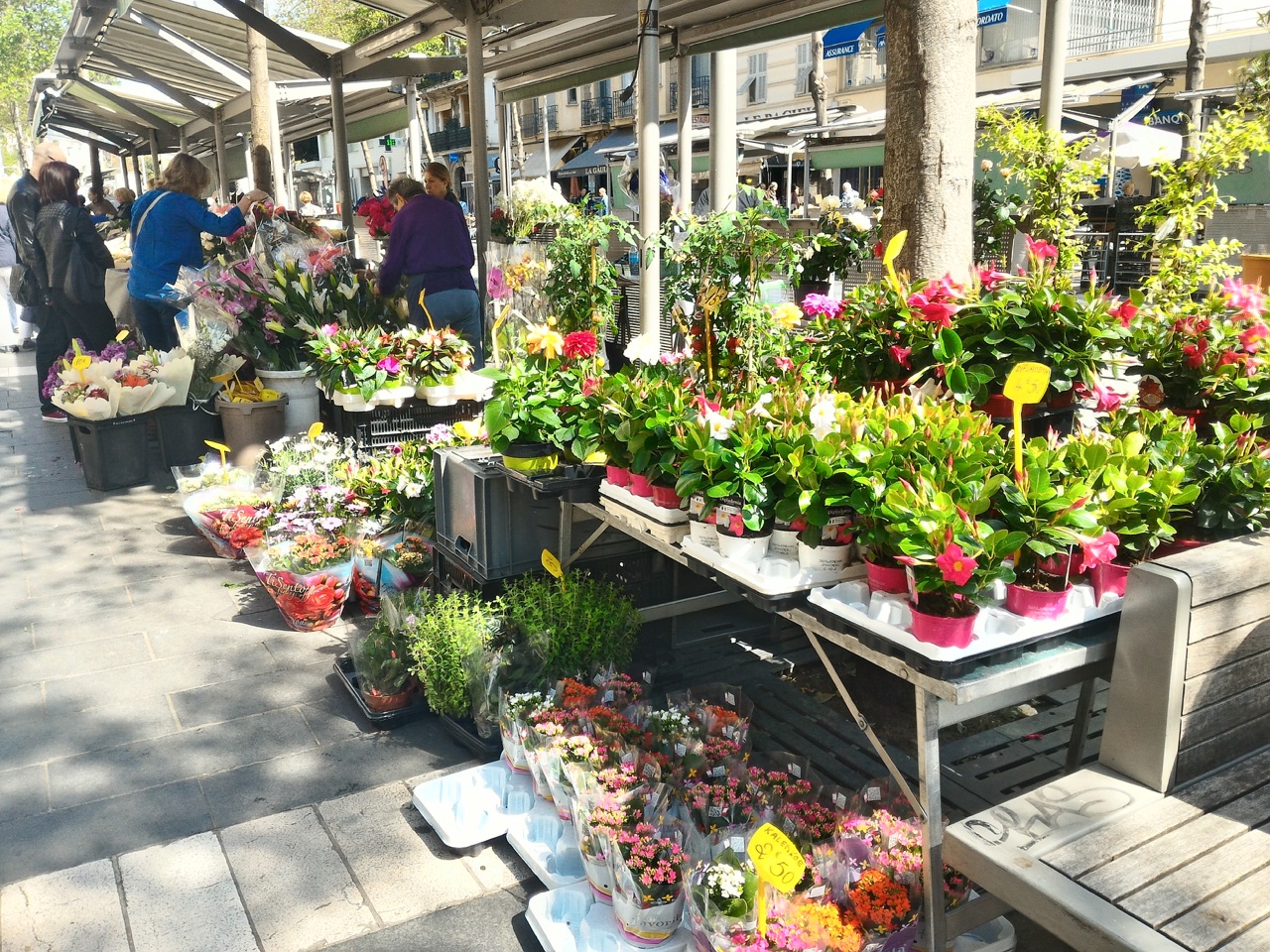 法國尼斯菜市場市集