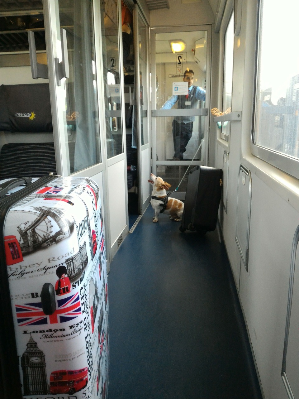 法國尼斯義大利羅馬對號快速列車